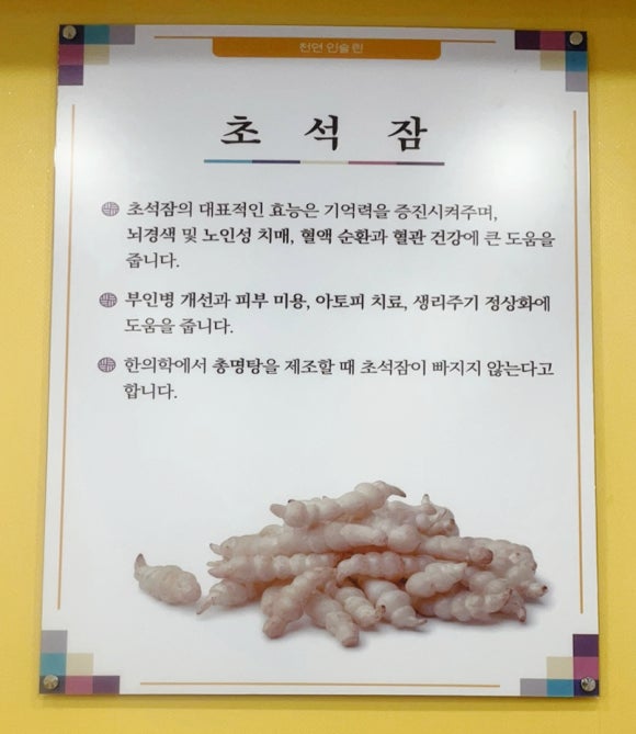 초석잠상황버섯삼계탕 이미지