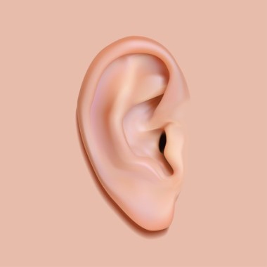 장수건강 이미지