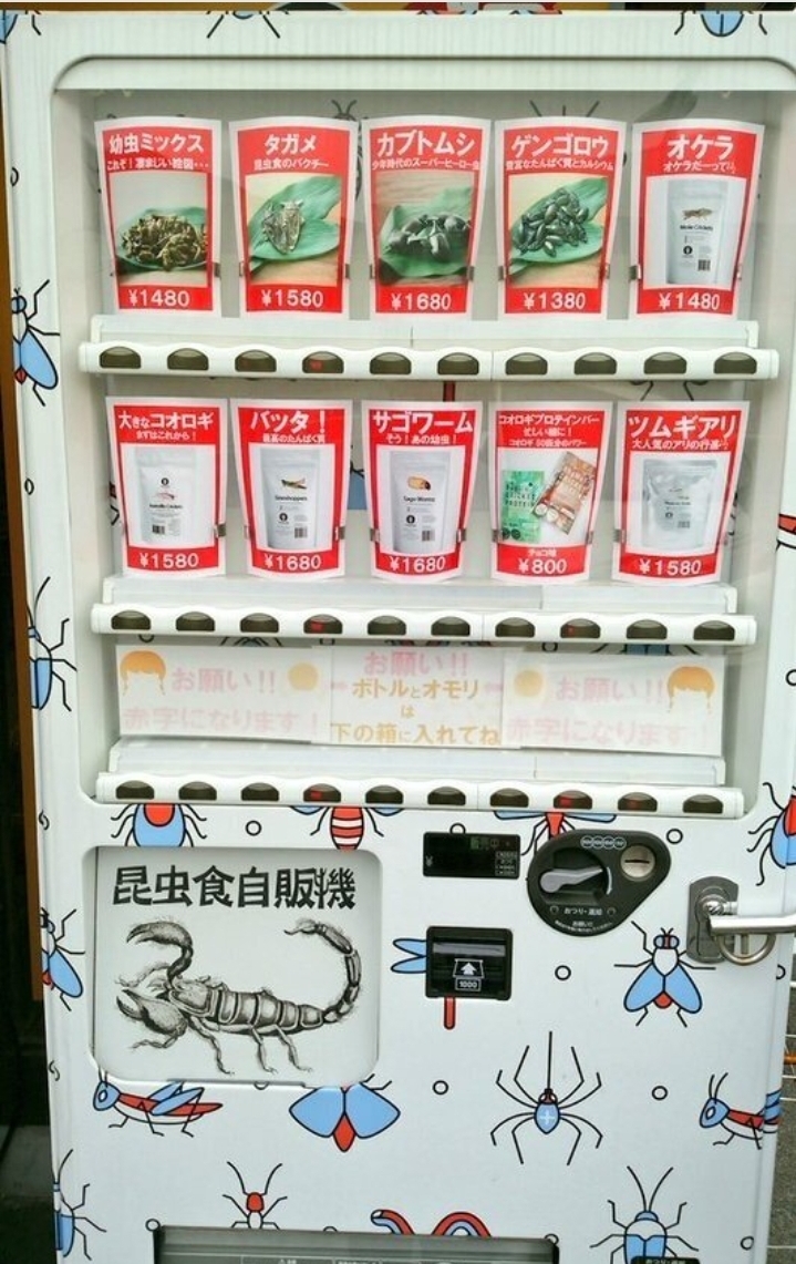 오늘식품 이미지