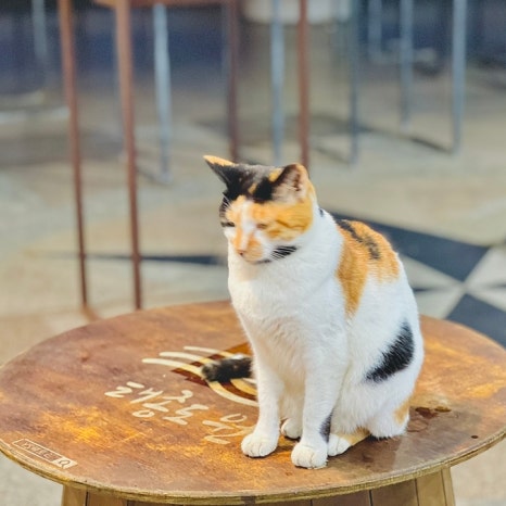 영도통상 이미지