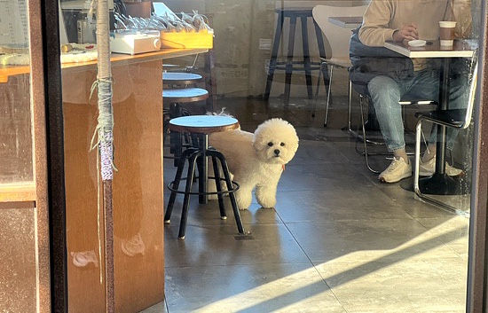 버터힐 이미지