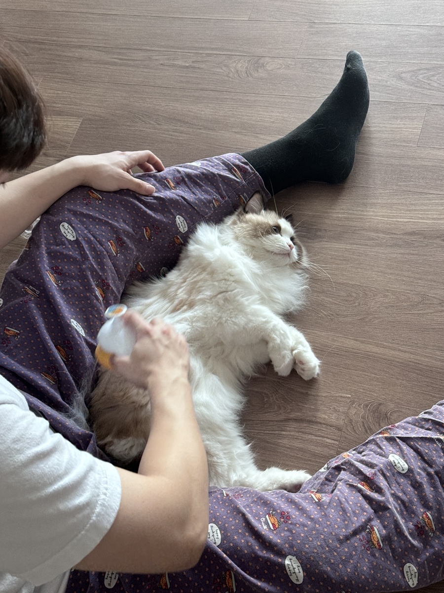 화림푸드 이미지