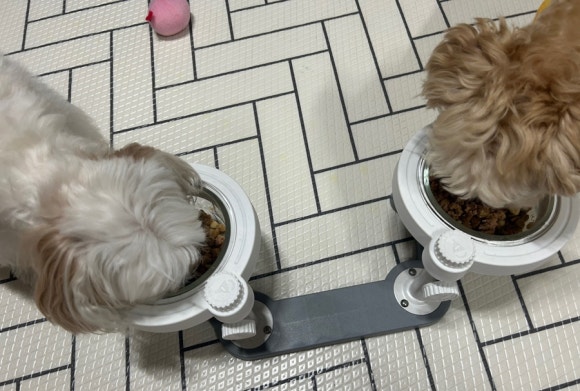 디알메디테크 이미지