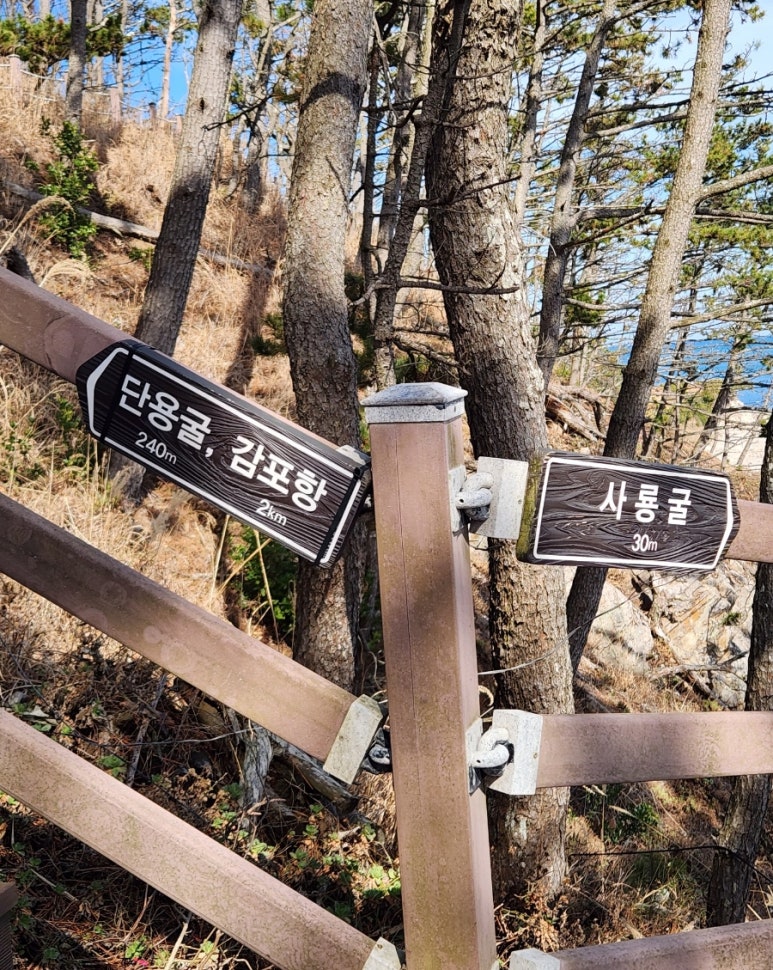 전촌물회 이미지