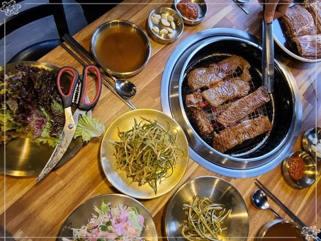 갈비대학교 이미지