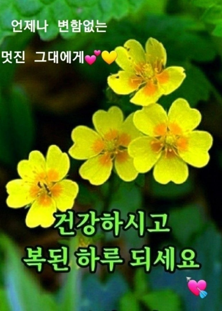 행복법무사 이미지