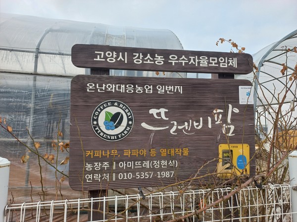 뜨렌비 이미지