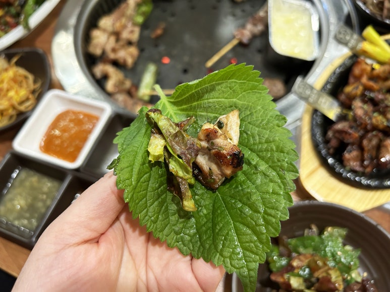 반하계 이미지