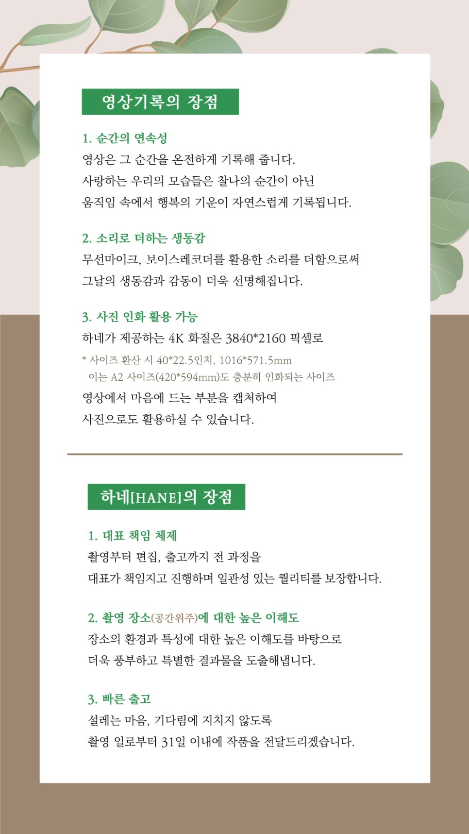 사뚱이네 이미지