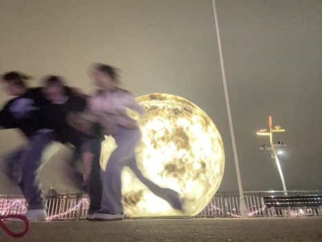 달토 이미지