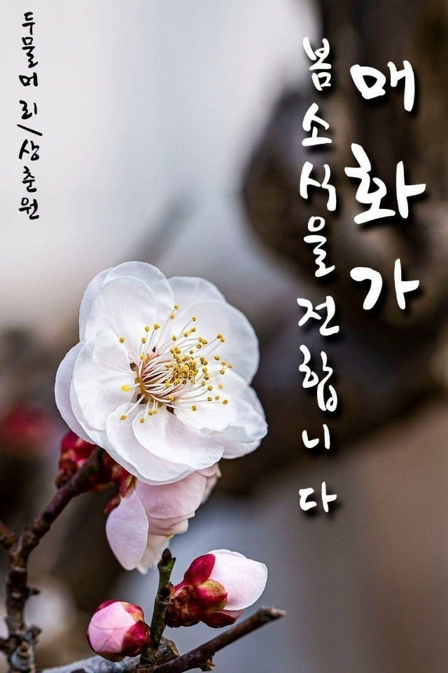 금닭 이미지
