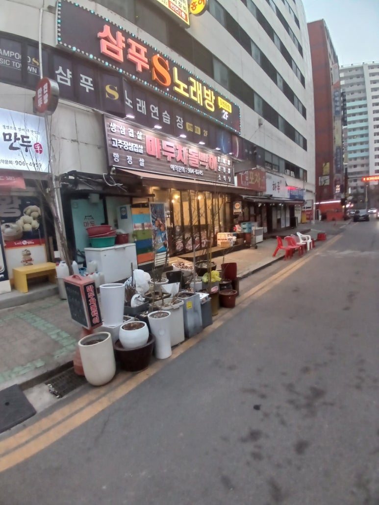마두차돌백이 이미지