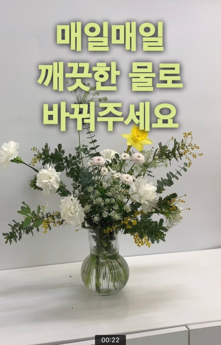폴리의꽃과가든 이미지