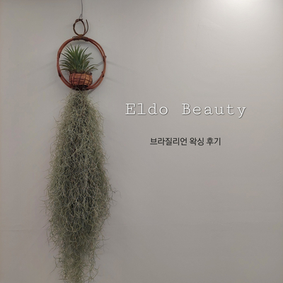 엘도(ELDO) 이미지