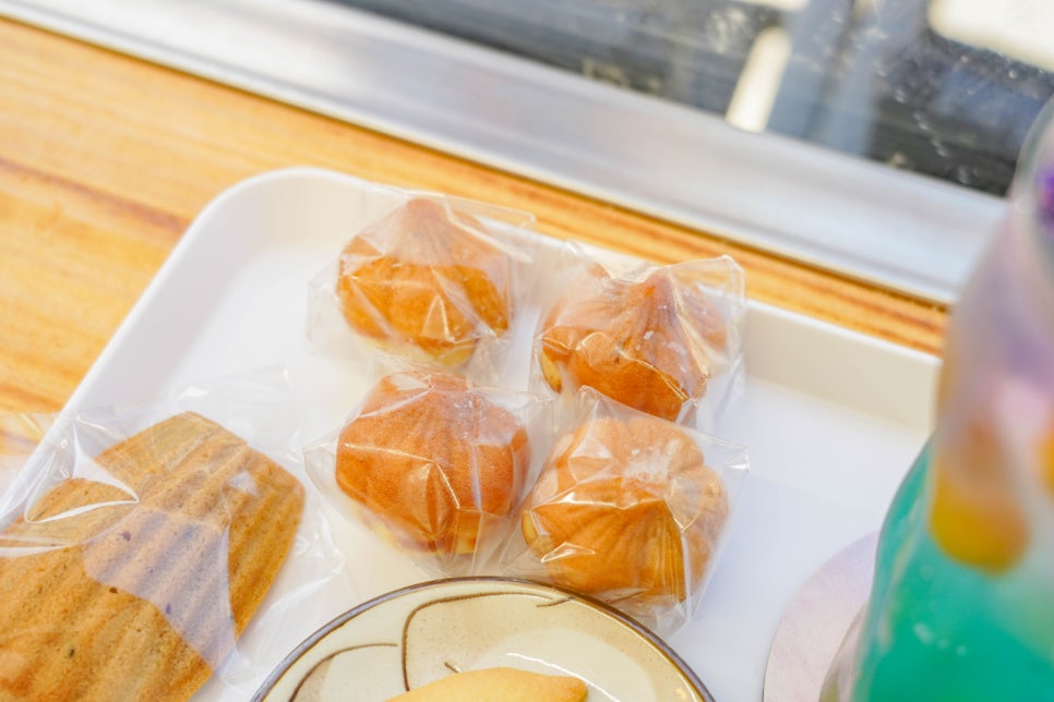 도전리549 이미지