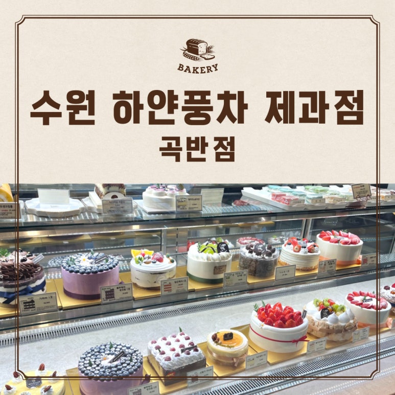 하얀풍차새 이미지