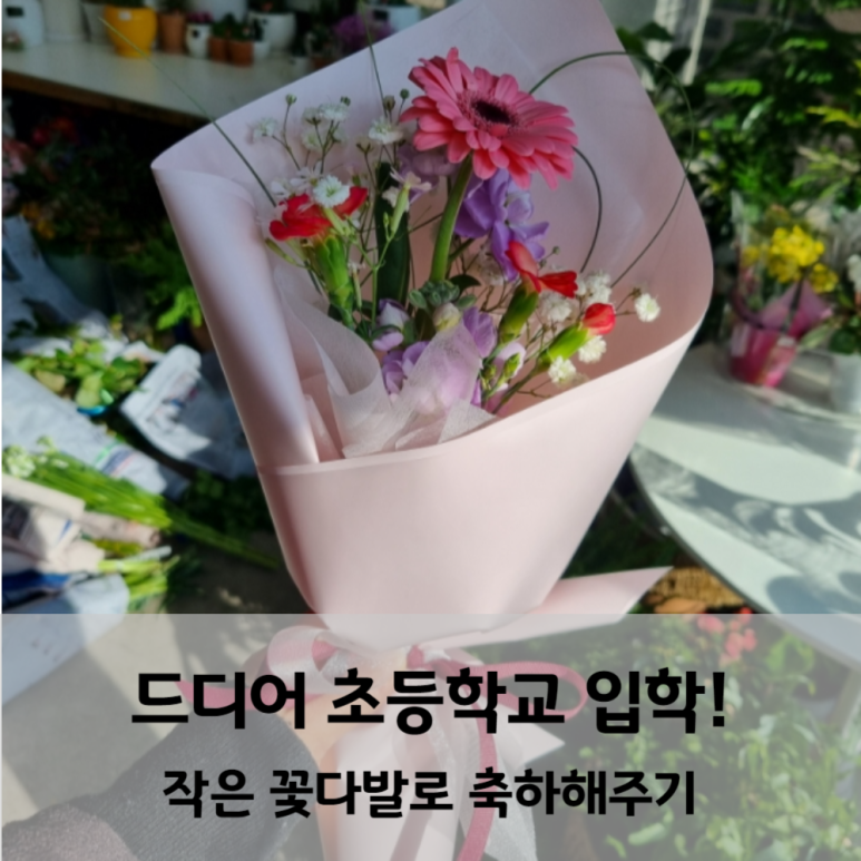 꽃다몽 이미지