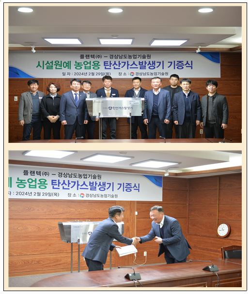 포항과채 이미지