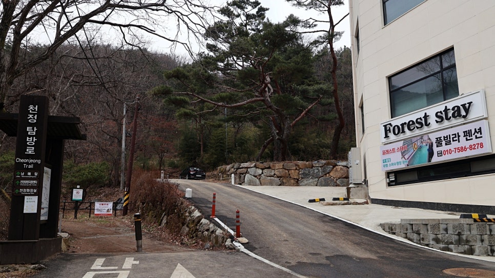 스테이포레스트 이미지