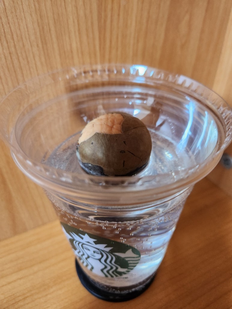 아보카도즈 이미지