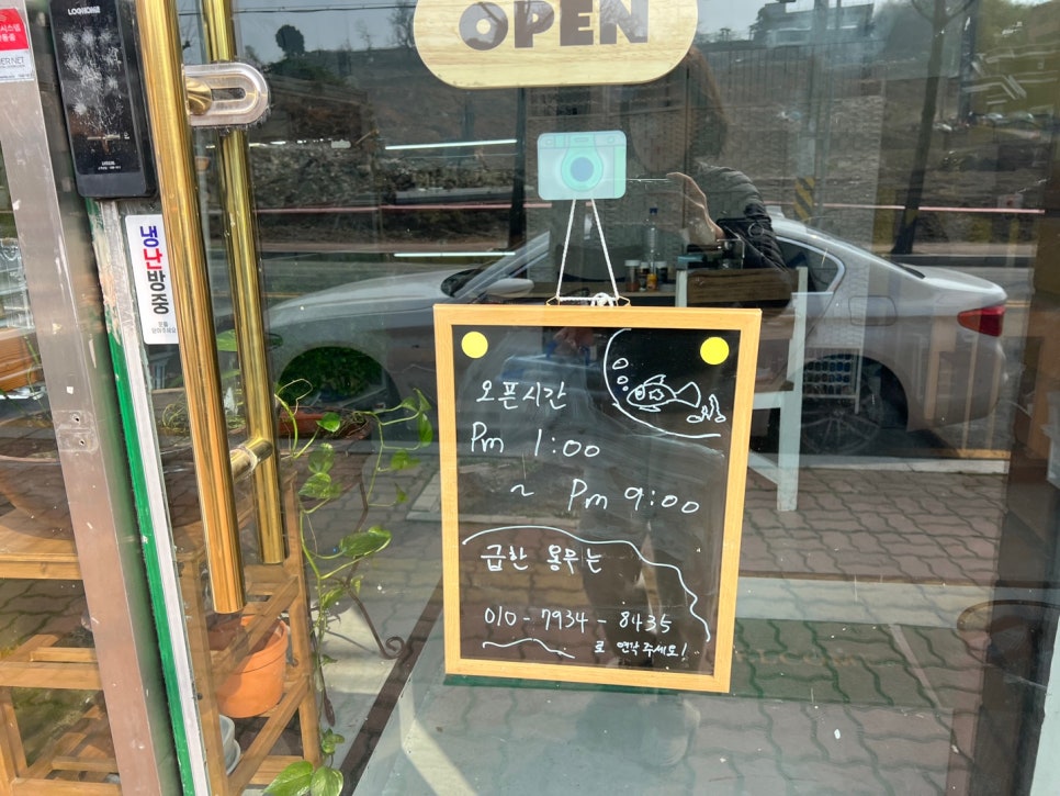 애니멀앤아쿠아 이미지