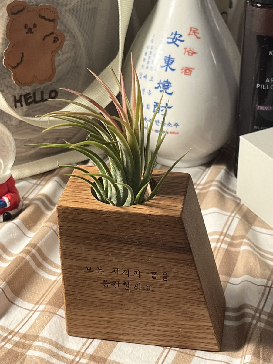 아침산저녁바다오산세교점 이미지