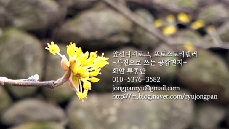 금정산터널(창원) 이미지
