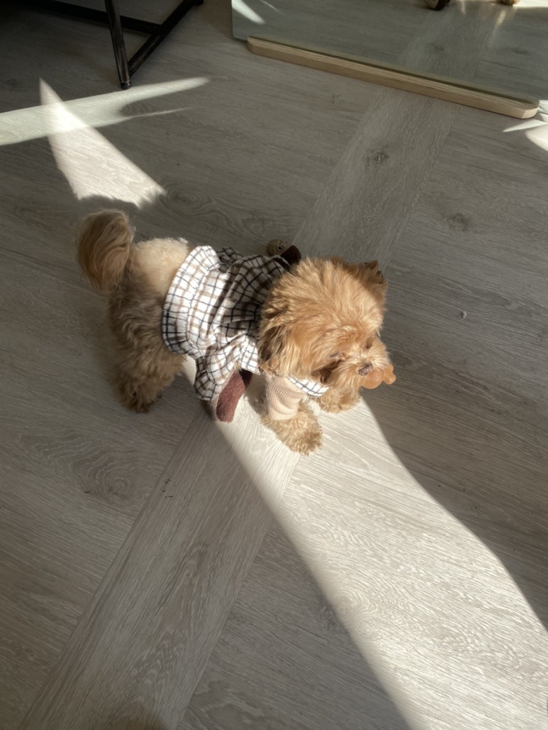 천사의옷집 이미지