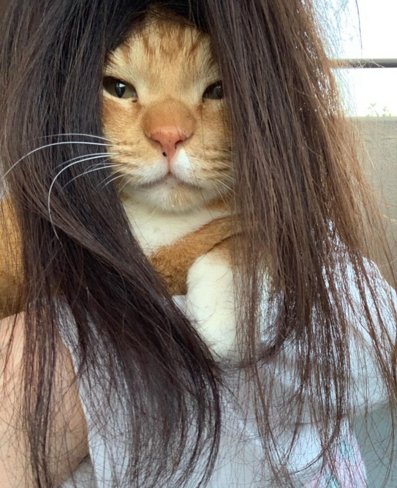 수니미용실 이미지