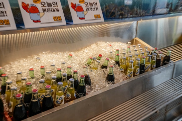 양양놀자 이미지