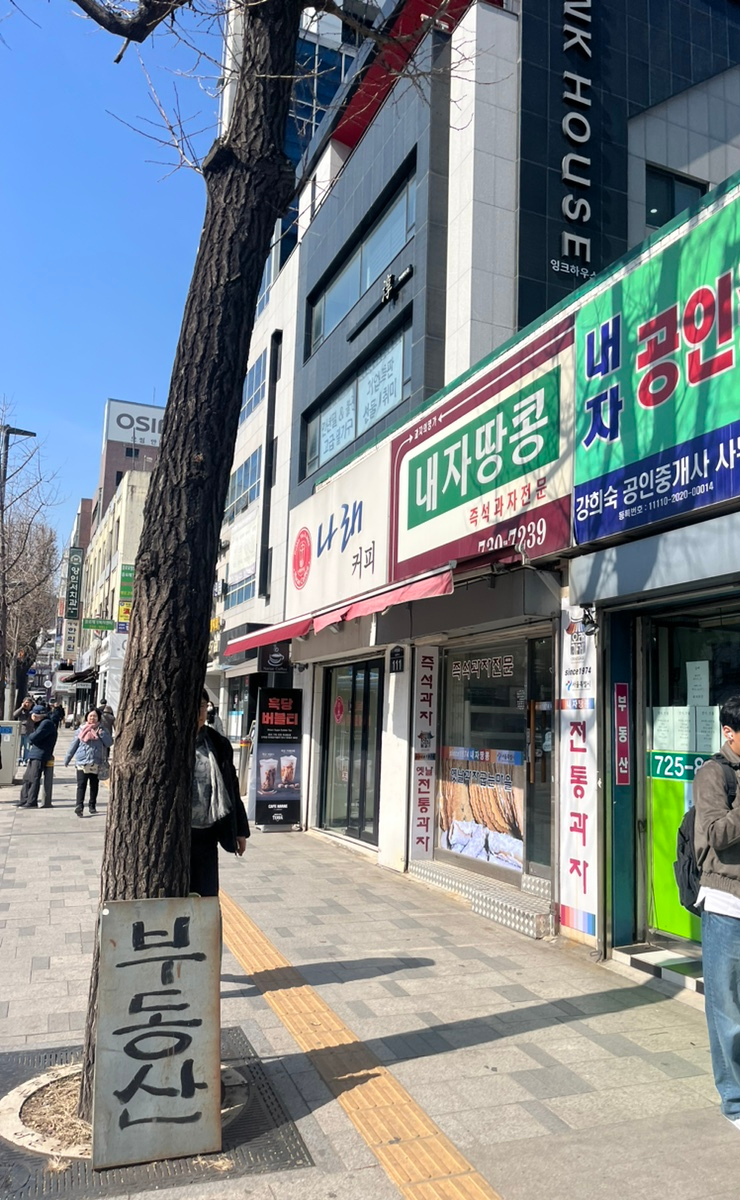 내자땅콩 이미지