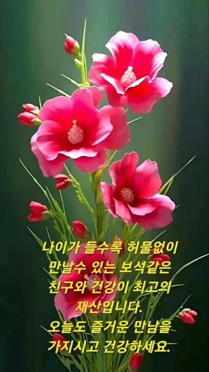 법무법인수호 이미지