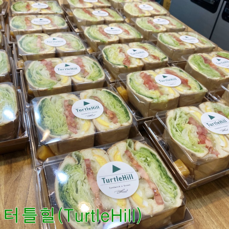 터틀힐 이미지