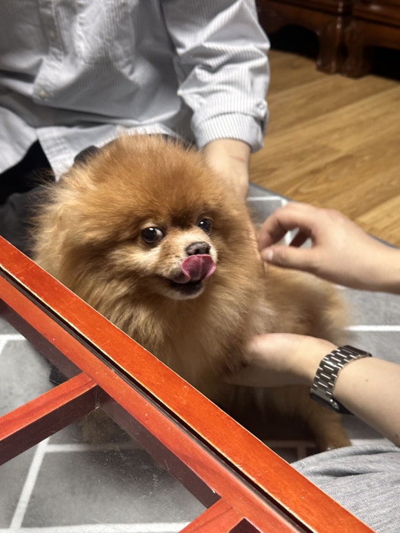 동자피시방 이미지