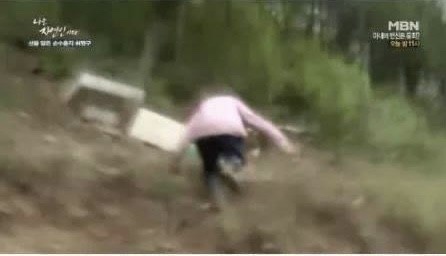 다와 이미지