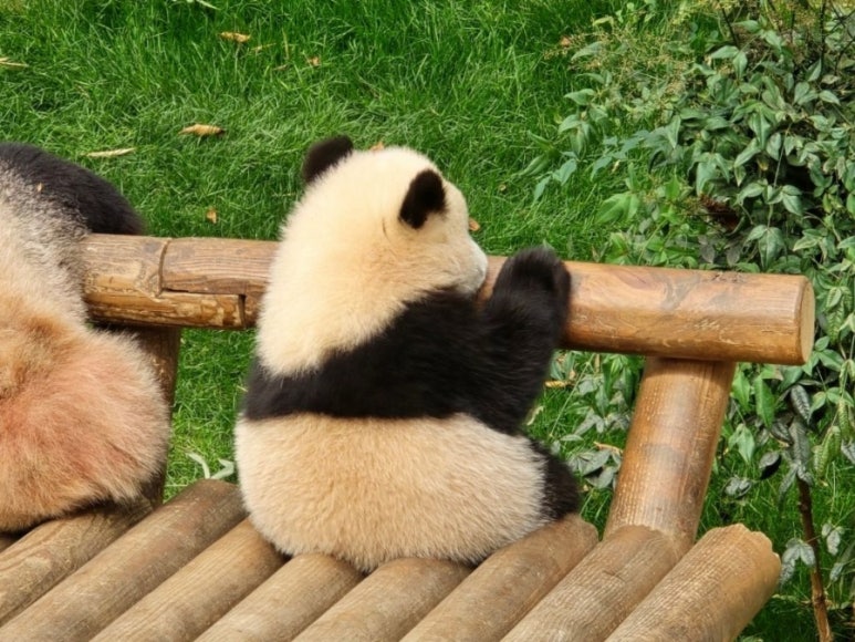 세계여행주 이미지