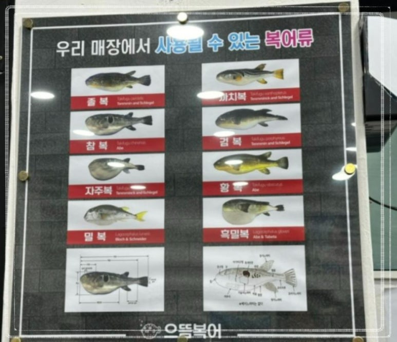 일품복어 이미지