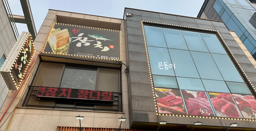 참치현2 이미지
