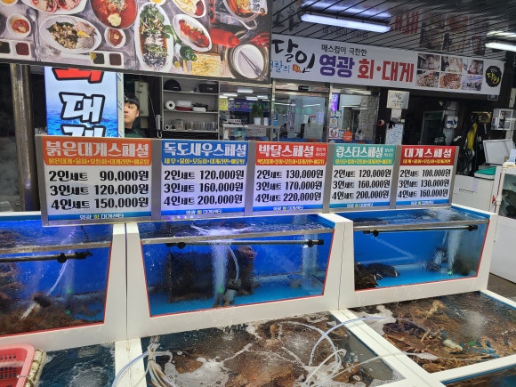 포항회대게 이미지