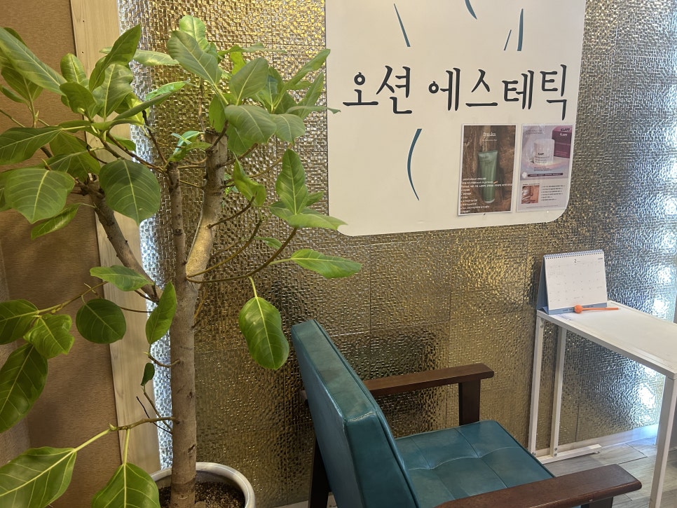 자매체형관리 이미지