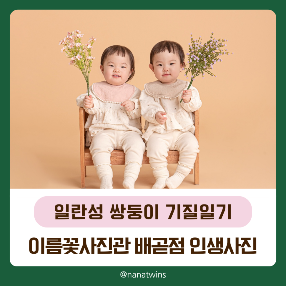이름꽃사진관배곧점 이미지
