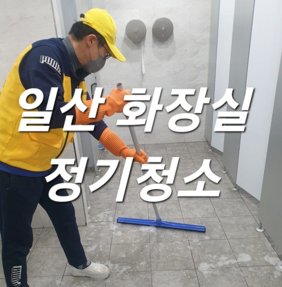 돌핀크린 이미지