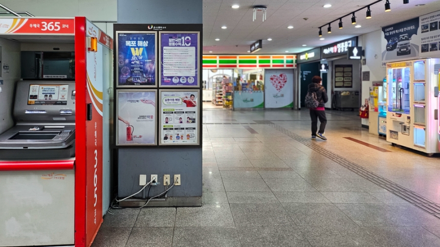 황박사목포쫀디기목포종합버스 이미지