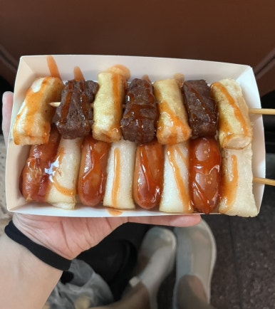 데이오브투컬러스 이미지