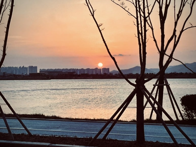 하단강변삼거리 이미지