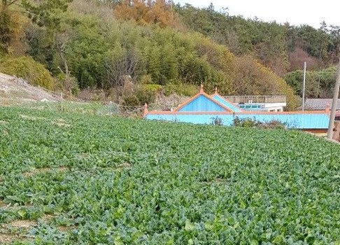 신안농장 이미지