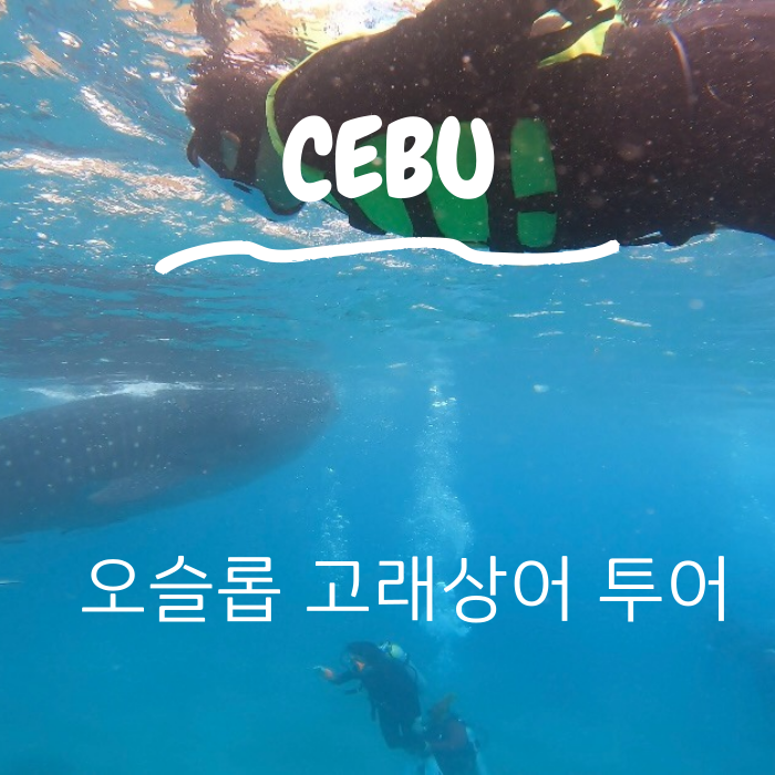 와투어 이미지