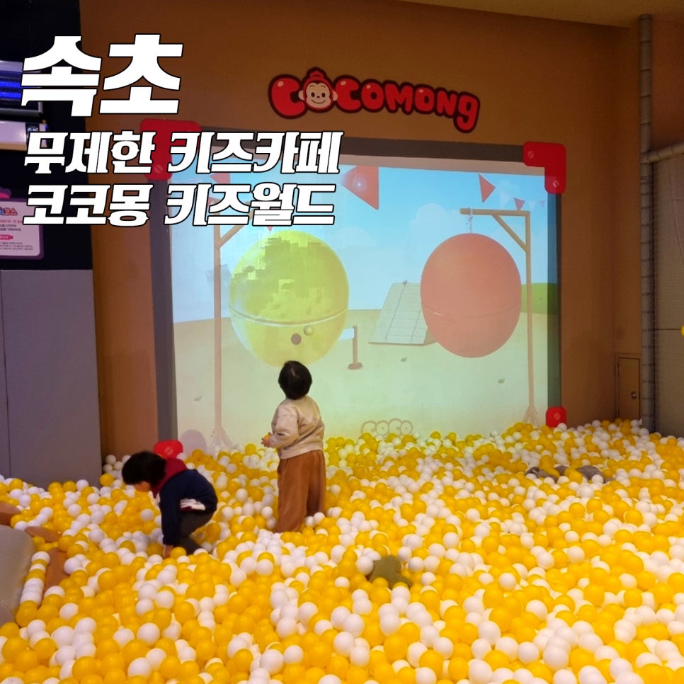 코코몽키즈월드 이미지