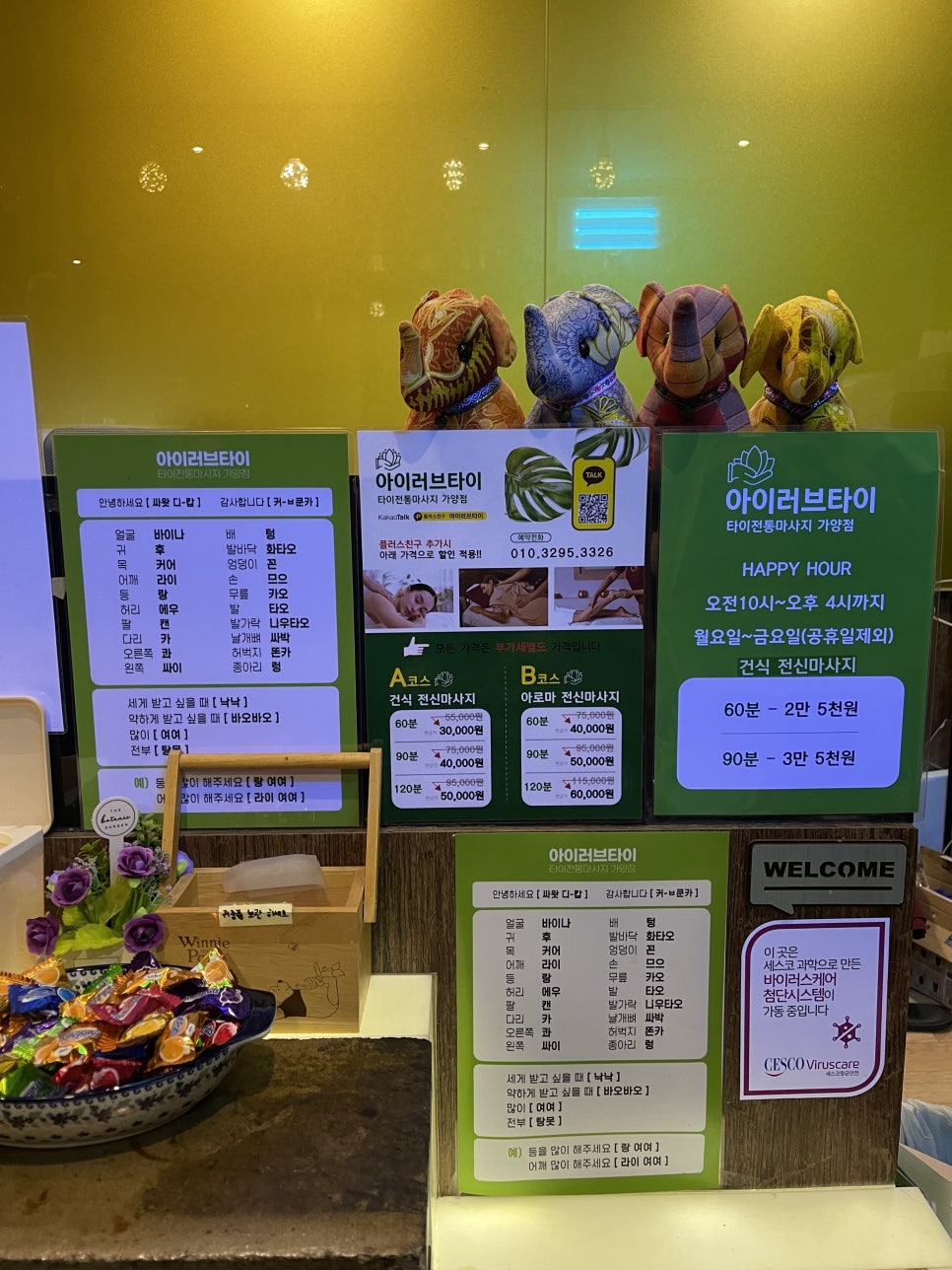 아리랑타이 이미지