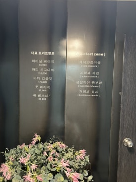 스파인더파리 이미지